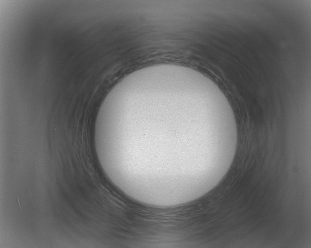 X0000079580701200612010926