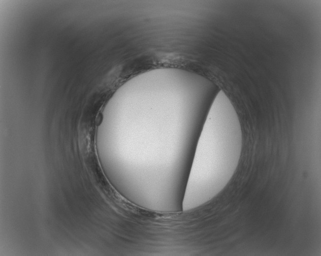 X0000079580703200612010925