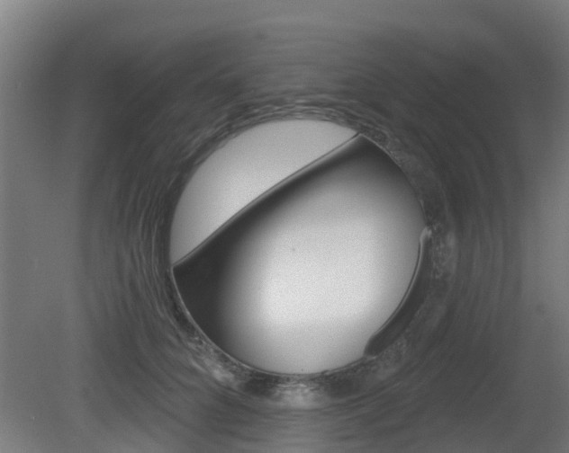 X0000079580704200612010925