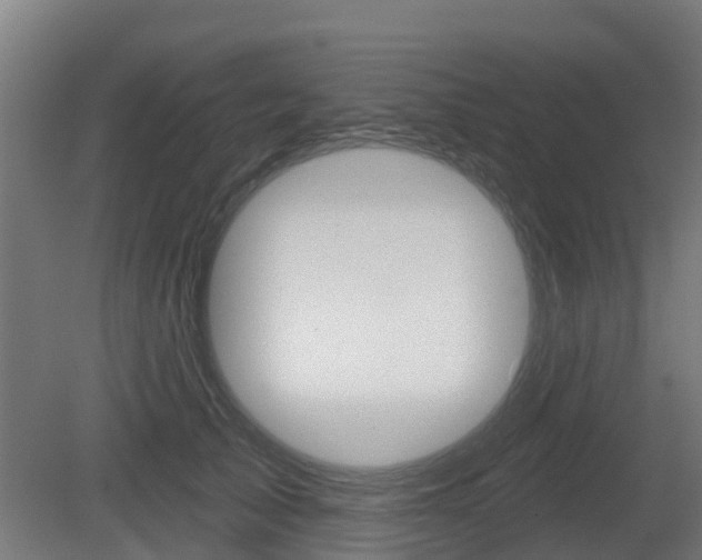 X0000079580705200612010925