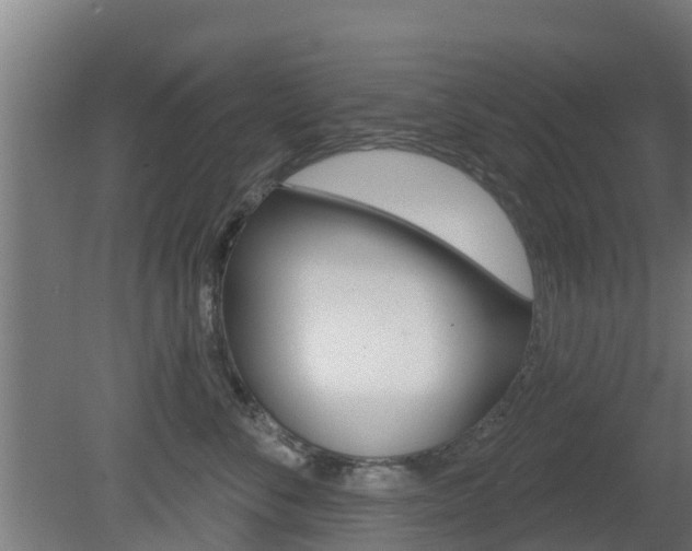 X0000079580716200612010925