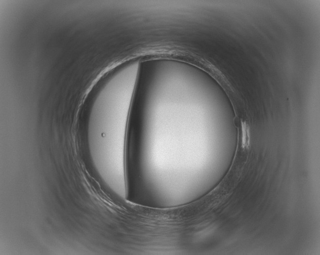 X0000079580723200612010924