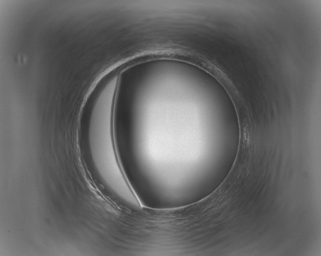 X0000079580724200612010924