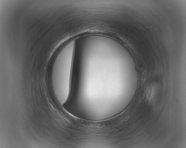 X0000079580727200612010924