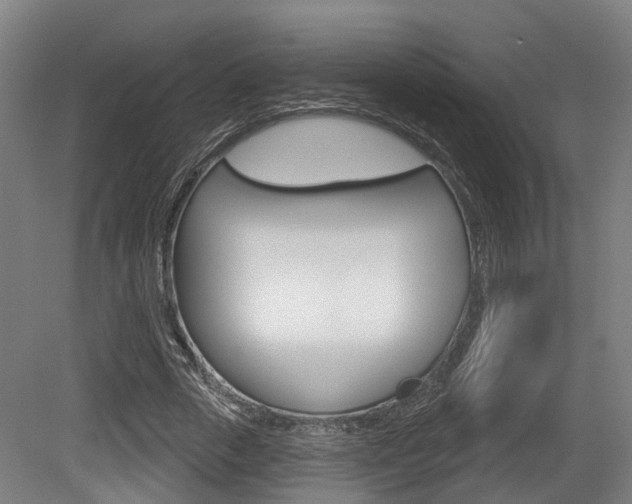 X0000079580729200612010925