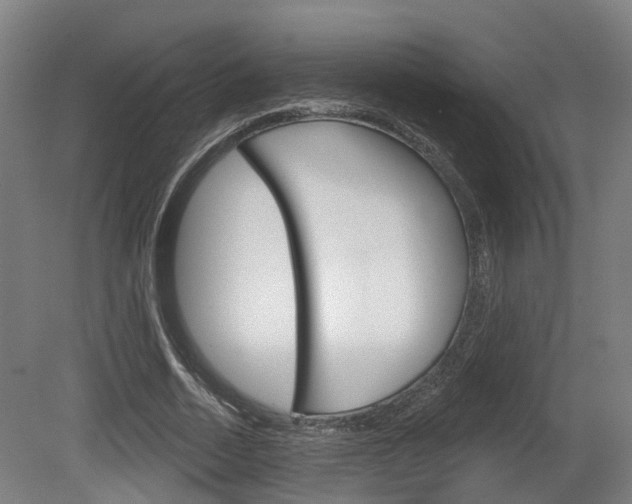 X0000079580730200612010925