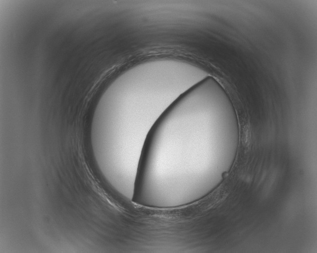 X0000079580733200612010925