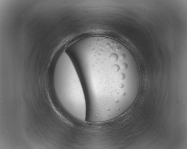 X0000079580734200612010925