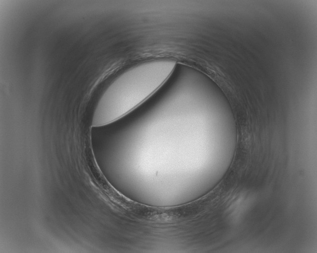 X0000079580735200612010925