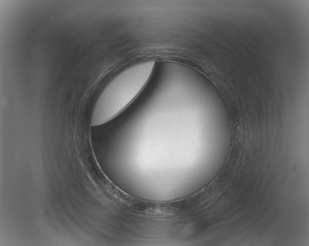 X0000079580739200612010925