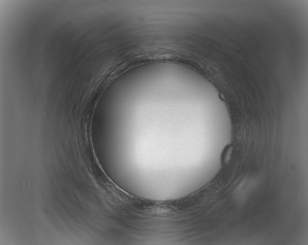 X0000079580743200612010925