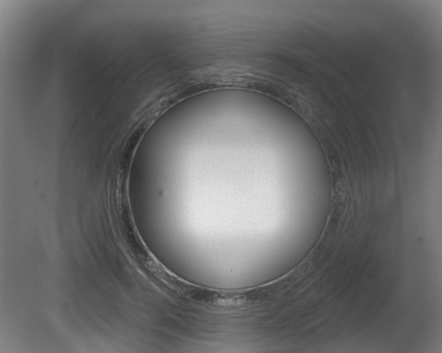X0000079580744200612010925