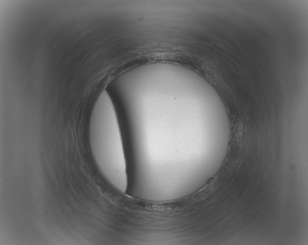 X0000079580746200612010925