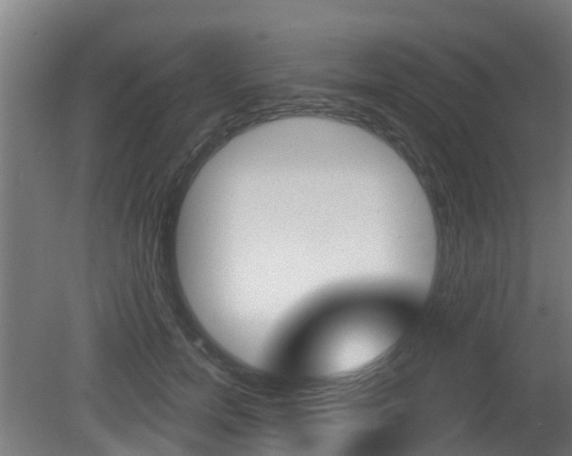 X0000079580750200612010925
