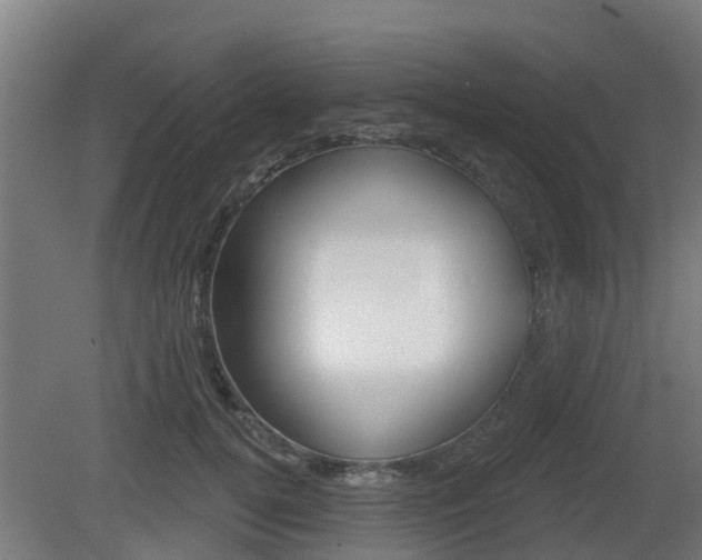 X0000079580752200612010925