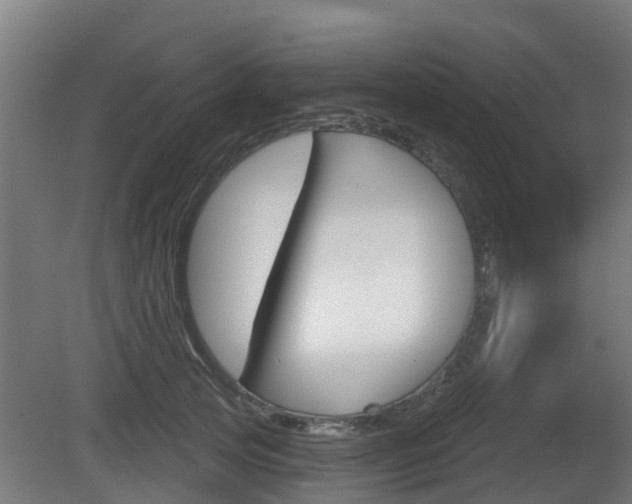 X0000079580753200612010925