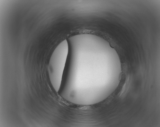 X0000079580761200612010925