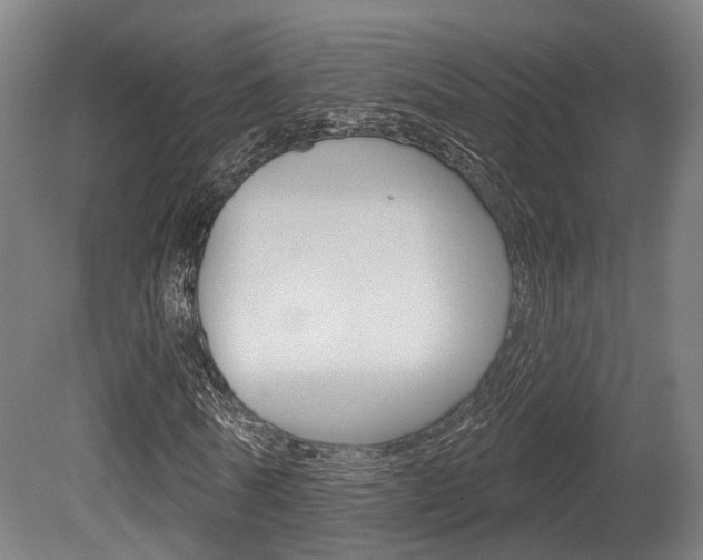 X0000079580770200612010924