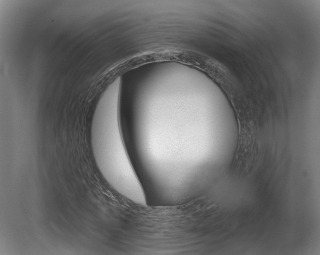 X0000079580773200612010924