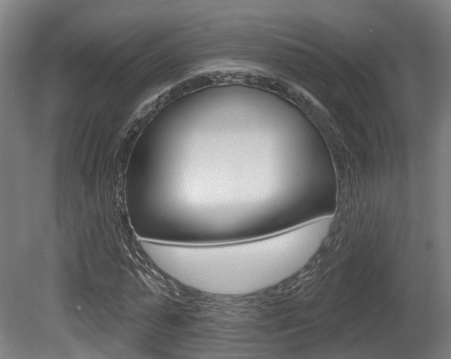 X0000079580775200612010924