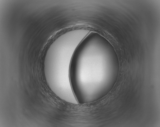 X0000079580776200612010924