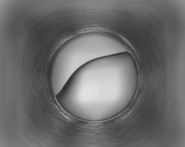 X0000079580778200612010924