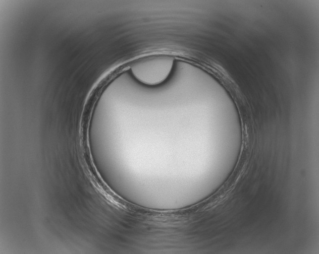 X0000079580780200612010924