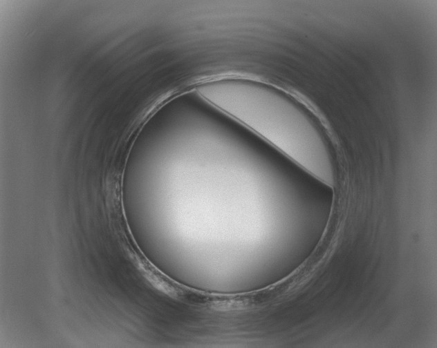 X0000079580793200612010924