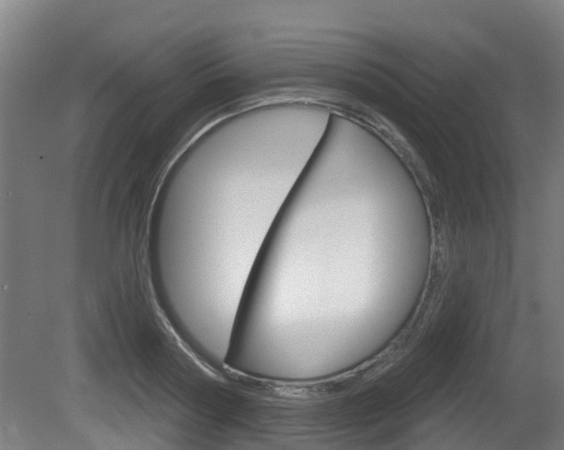 X0000079580794200612010924