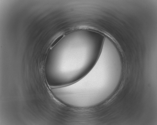 X0000079580801200612010924