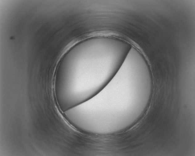 X0000079580802200612010924