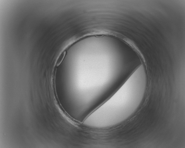 X0000079580805200612010924