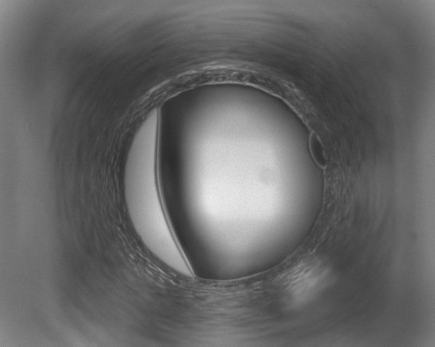 X0000079580821200612010923
