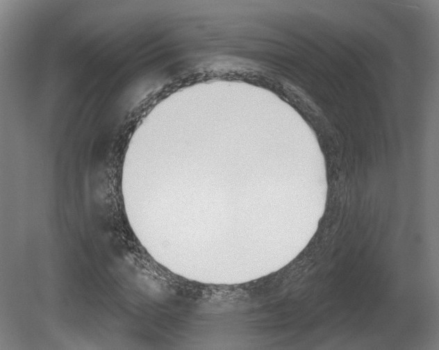 X0000079580824200612010923