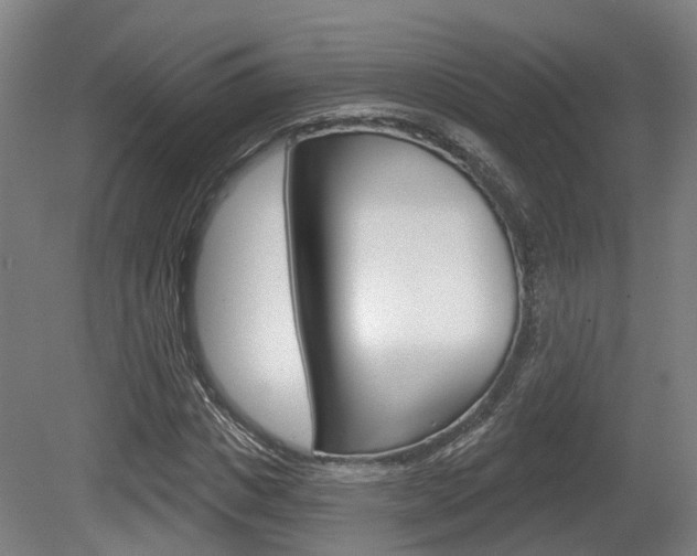 X0000079580825200612010923