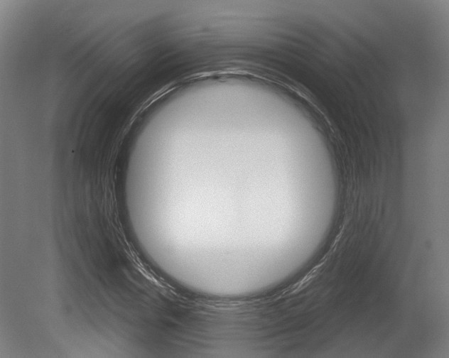 X0000079580826200612010923