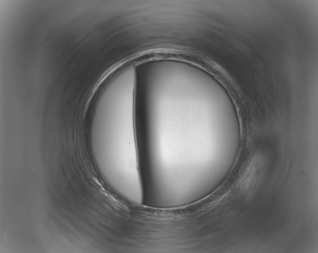 X0000079580829200612010923