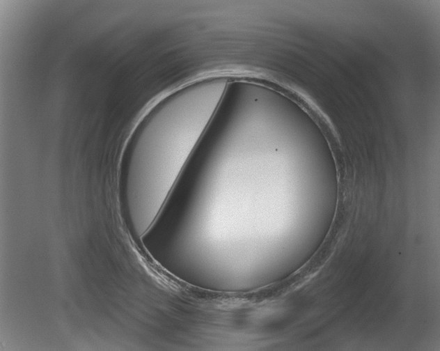 X0000079580837200612010923