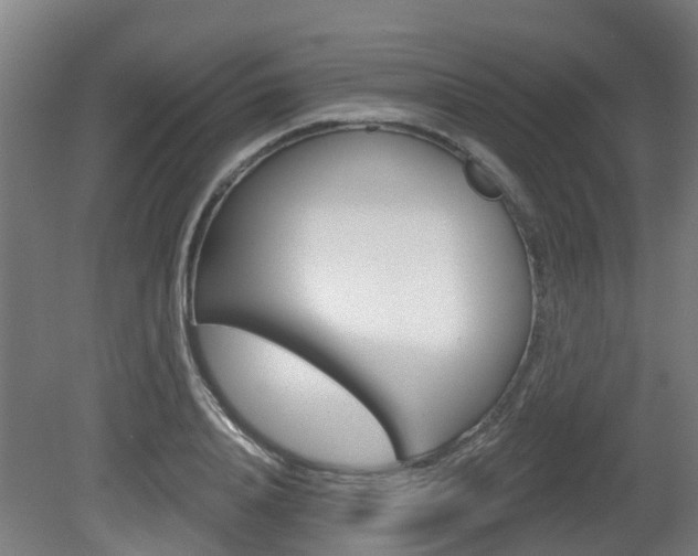 X0000079580840200612010923