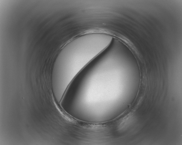 X0000079580849200612010923