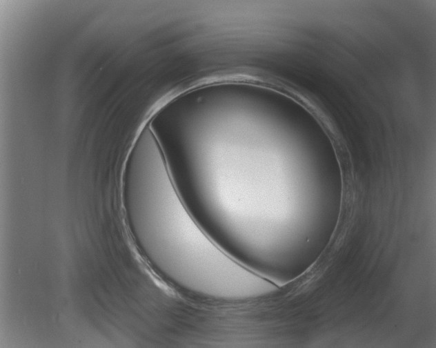 X0000079580858200612010923