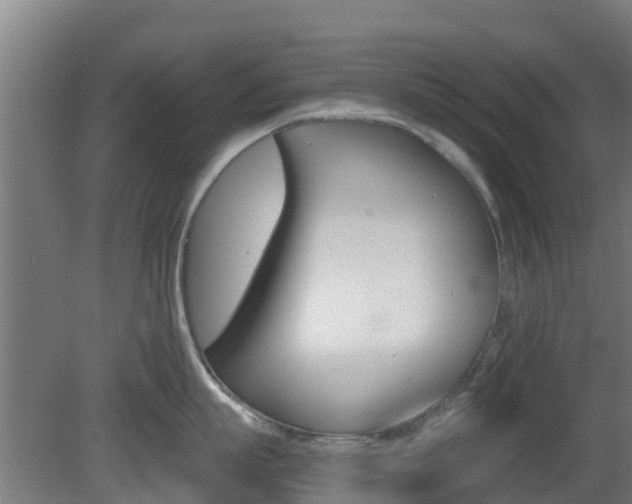 X0000079580863200612010923