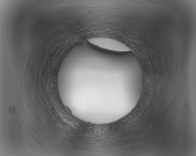 X0000079580865200612010923