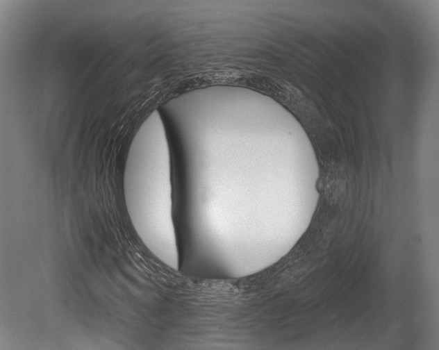 X0000079580866200612010923