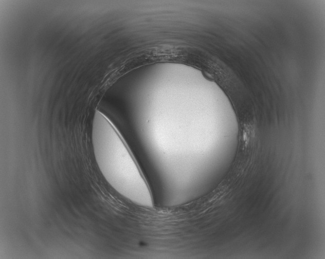 X0000079580867200612010923