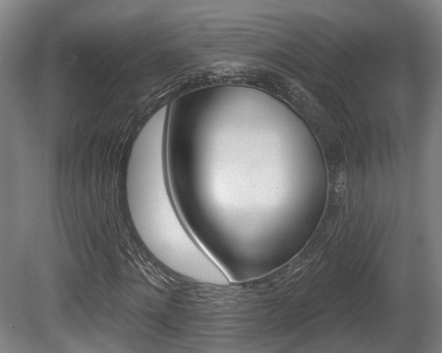 X0000079580868200612010923