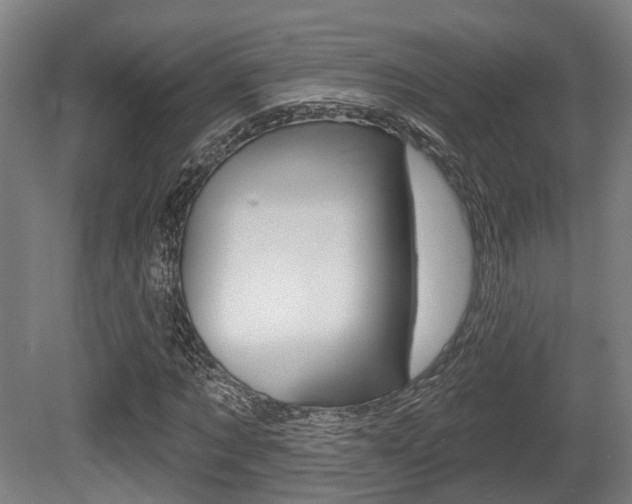 X0000079580869200612010923