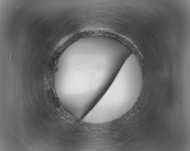 X0000079580871200612010923