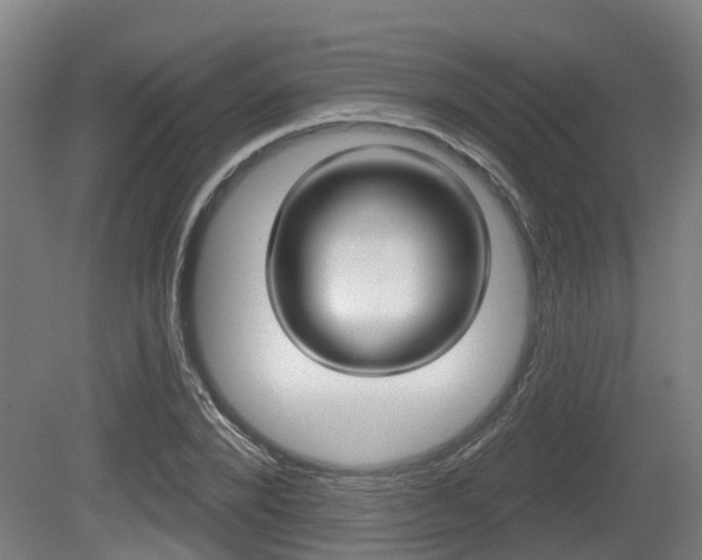 X0000079580880200612010922