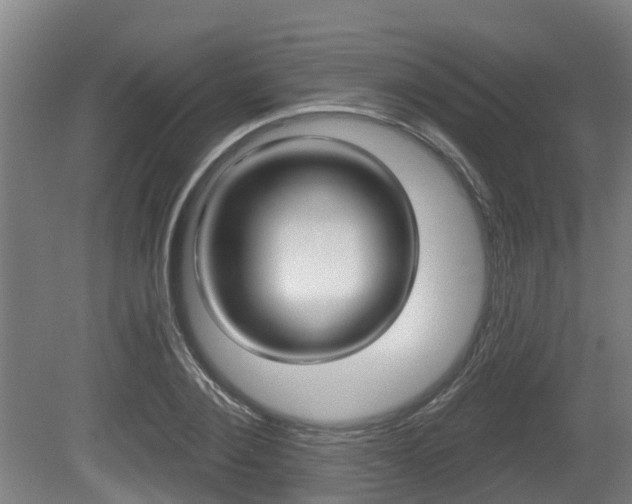 X0000079580884200612010922